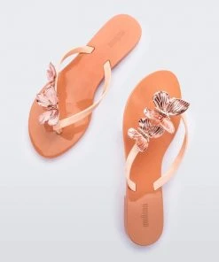 Adult Melissa Harmonic Fly