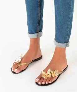 Adult Melissa Harmonic Fly